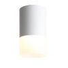 ST100.542.05 Светильник потолочный Белый LED 1*5W 4000K 390Lm Ra&gt;80 120° D64xH110 170-240V Накладные светильники