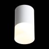 ST100.542.05 Светильник потолочный Белый LED 1*5W 4000K 390Lm Ra&gt;80 120° D64xH110 170-240V Накладные светильники
