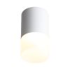 ST100.542.05 Светильник потолочный Белый LED 1*5W 4000K 390Lm Ra&gt;80 120° D64xH110 170-240V Накладные светильники