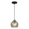 SL1661.413.01 Светильник подвесной ST-Luce Черный/Дымчатый E27 1*40W COCOON