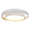 *SLE6009-502-01 Светильник потолочный Белый/Белый LED 1*50W 3000K/4000K/6000K