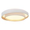*SLE6009-502-01 Светильник потолочный Белый/Белый LED 1*50W 3000K/4000K/6000K
