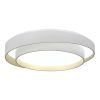 *SLE6009-502-01 Светильник потолочный Белый/Белый LED 1*50W 3000K/4000K/6000K