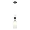 SL2003.403.01 Светильник подвесной ST-Luce черный/белый E27 1*40W AURORA
