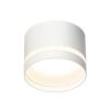 Точечные светильники Citilux CL002C10 Hardy