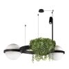Люстры Loft It 10121/2 Jardin