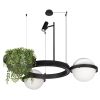 Люстры Loft It 10121/2 Jardin