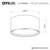 Точечные светильники Citilux CL743060N Ровер