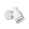 Точечные светильники Citilux CL565510 Bruno