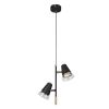 Подвесные светильники F-Promo 4618-2P Trandy
