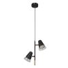 Подвесные светильники F-Promo 4618-2P Trandy