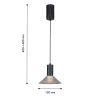 Подвесные светильники F-Promo 4622-1P Feris