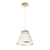 Подвесные светильники Favourite 4634-4P Fibra