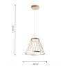 Подвесные светильники Favourite 4634-4P Fibra