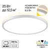 Потолочные светильники Citilux CL748320 NORMA