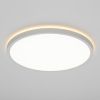 Потолочные светильники Citilux CL748320 NORMA