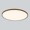 Потолочные светильники Citilux CL748601 NORMA