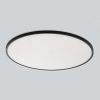 Потолочные светильники Citilux CL748601 NORMA