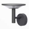 Уличные светильники Citilux CLU05W Dorn