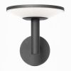 Уличные светильники Citilux CLU05W Dorn