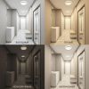 Потолочные светильники Denkirs DK6511-WH/1 PLATO