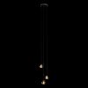 Подвесные светильники Loft It 10151 Rain