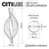 Настенные светильники Citilux CL214311 VIND