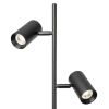 Торшеры Citilux CL809011N Twin
