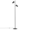 Торшеры Citilux CL809011N Twin