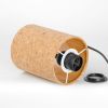 Настольные лампы Lussole LGO LSP-0821 GARZA