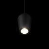 Подвесные светильники Loft It 10357/1 Blackout