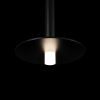 Подвесные светильники Loft It 10358/830 Disk Reed