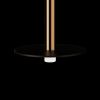 Подвесные светильники Loft It 10358/830 Disk AB Reed