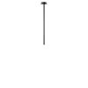 Точечные светильники Loft It 10359/600 Black Cane
