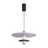 Подвесные светильники Freya FR5494PL-L9GR Acoustic