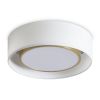 Потолочные светильники Freya FR6170CL-L52BS Cozy