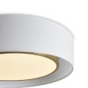 Потолочные светильники Freya FR6170CL-L52BS Cozy