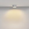 Точечные светильники Maytoni C032CL-12W2.7K-RD-W Zon