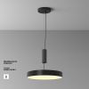 Потолочные светильники Maytoni C032CL-45W2.7K-RD-B Zon