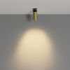 Точечные светильники Maytoni C053CL-L12W2.7K-W-BS FOCUS LED