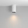Точечные светильники Maytoni C106CL-01-GU10-W Calipso