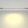 Трековое освещение Maytoni TR030-2-24W2.7K-B BASIS