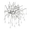 Настенные светильники Loft It 10376W Drops