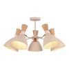 Люстры Evoluce SLE1256-502-05 VISTA