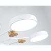 Подвесные светильники Ambrella FL4864 FL
