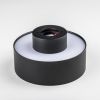 Потолочные светильники Lightstar 215937 Acuto
