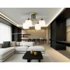 Подвесные светильники Ambrella TR303042 TR
