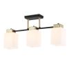 Подвесные светильники Ambrella TR303046 TR