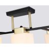 Подвесные светильники Ambrella TR303048 TR