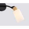 Настенные светильники Ambrella TR8721 TR